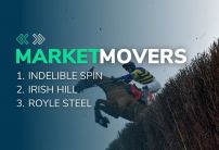 Friday's Horse Racing Market Movers