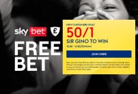 Sky Bet Cheltenham Offer: Back Sir Gino at 50/1 to Win the International Hurdle on Trials Day