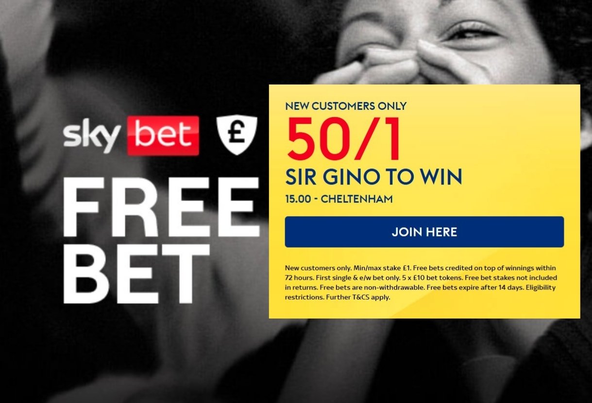 Sky Bet Cheltenham Offer: Back Sir Gino at 50/1 to Win the International Hurdle on Trials Day