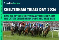 How to Bet on Cheltenham Trials Day: Latest Cheltenham Odds and Free Bets 