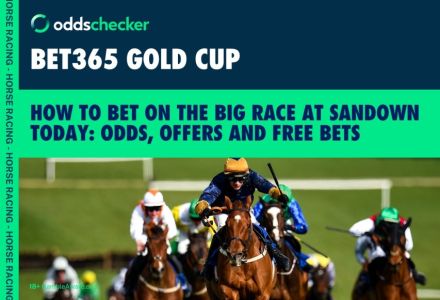 How to Bet on the bet365 Gold Cup: Odds, Extra Places and Offers