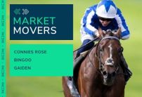 Market Movers for Today's Horse Racing at Windsor & Hexham