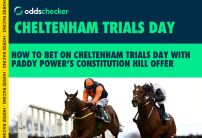 How to Bet on Cheltenham Trials Day: Paddy Power's Constitution Hill Offer, Odds and More