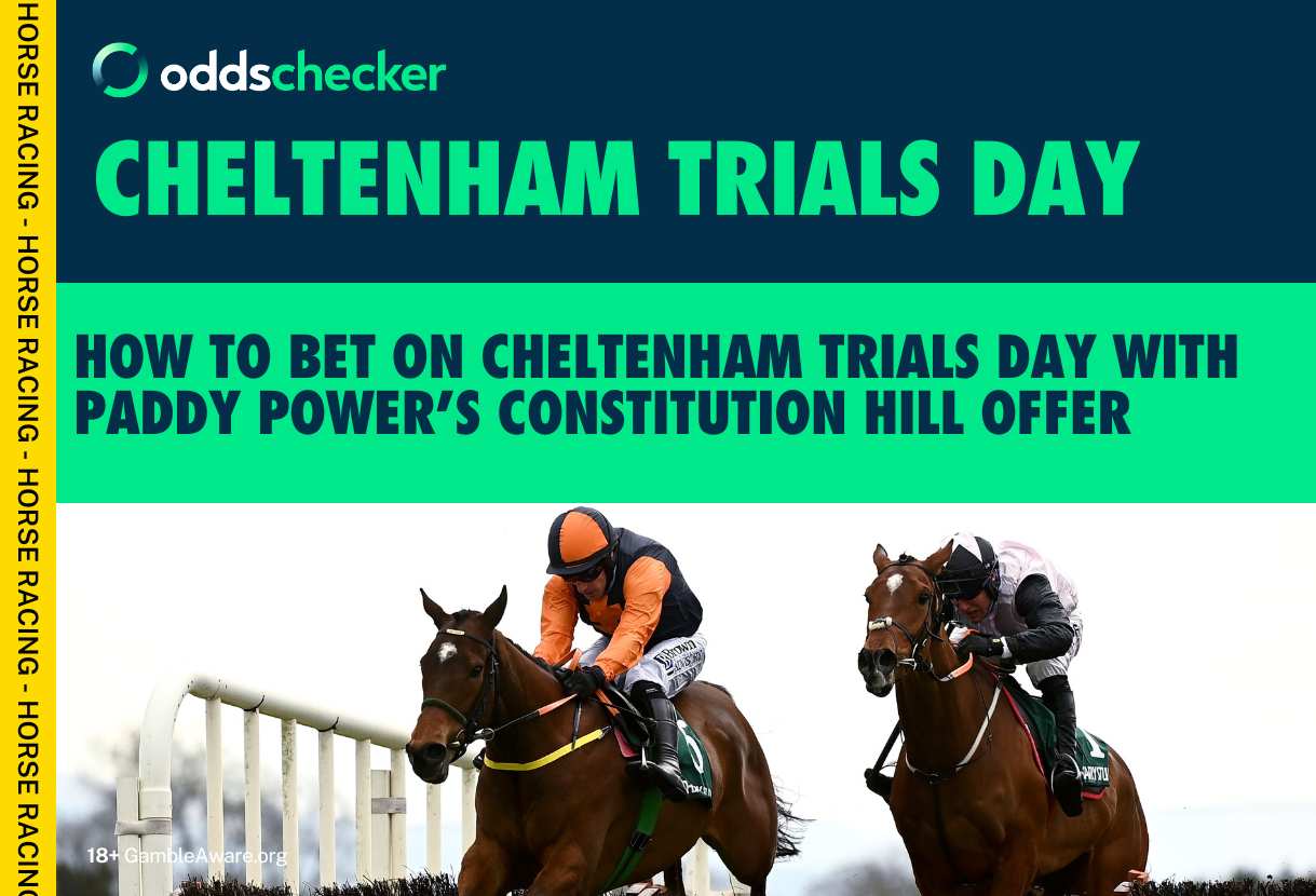How to Bet on Cheltenham Trials Day: Paddy Power's Constitution Hill Offer, Odds and More