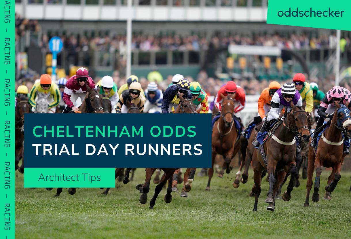 Cheltenham Odds for Five Key Runners on Cheltenham Trials Day 2024