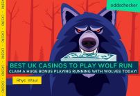 Best Casinos In The UK To Play Wolf Run Slot