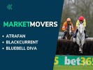 Market Movers for Today's Horse Racing at Newcastle & Gowran Park