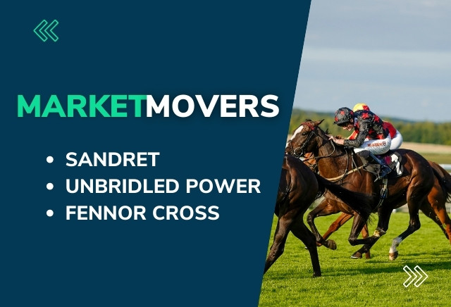 Market Movers for today's horse racing at Newcastle, Roscommon & Down Royal