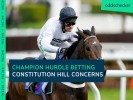 Champion Hurdle Betting: Market suspended after Constitution Hill Kempton gallop