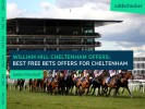 William Hill Cheltenham Offers: Best Free Bets Offers From William Hill for Cheltenham