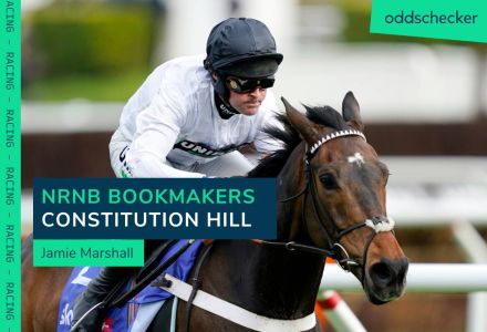 Non-Runner No Bet Bookmakers to bet on Constitution Hill