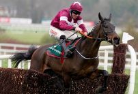 Cheltenham Gold Cup Odds: Conflated 12/1 after Savills win at Leopardstown
