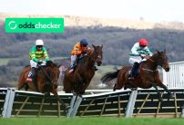 National Hunt Season 25/26: Five Horses to Follow This Season 