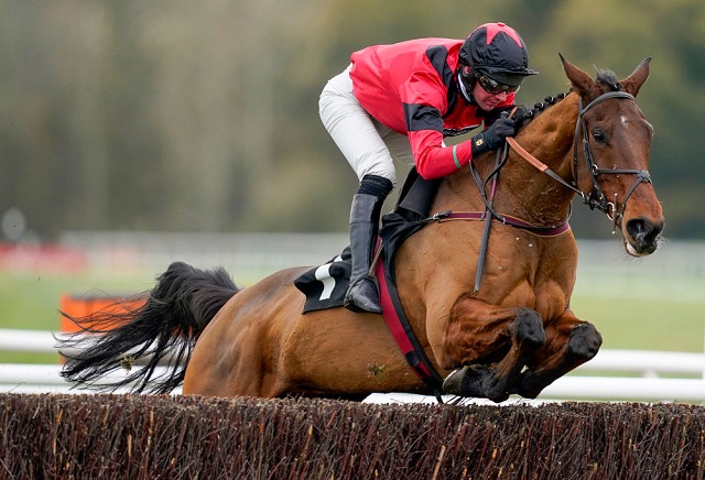 Charlie Hall Chase Tips: 3 reasons why Ahoy Senor can beat Bravemansgame