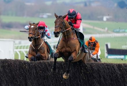 Cheltenham Trials Day Results: What did we learn for the Festival?