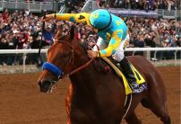 Beginners Guide to Betting on US Racing - Who are the jockeys and trainers worth following across the pond?