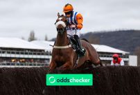 bet365 Gold Cup: Declared Runners, Latest Odds & Betting Tip