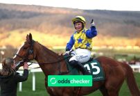 Ryanair Mares' Novices' Hurdle: Bambino Fever Favourite to Win