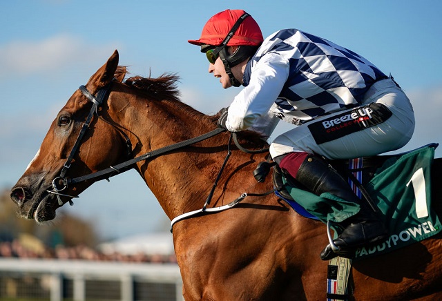 Cheltenham Festival 2023: Banbridge heads Market Movers after Arkle Trial win