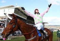 Cheltenham Festival 2021 Beginner's Betting Guide