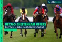Bet365 Cheltenham Offers