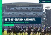 bet365 Grand National: Latest Offers for New and Existing Customers