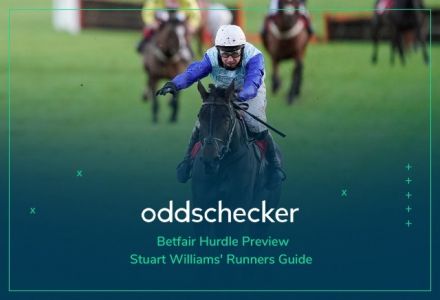 Betfair Hurdle Odds: Tips, Runners Guide & Preview