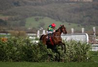 Cause of Causes wins the Cross Country Chase