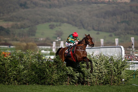 Cause of Causes wins the Cross Country Chase