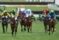 Tote Cheltenham Offer: £10 Welcome Bonus