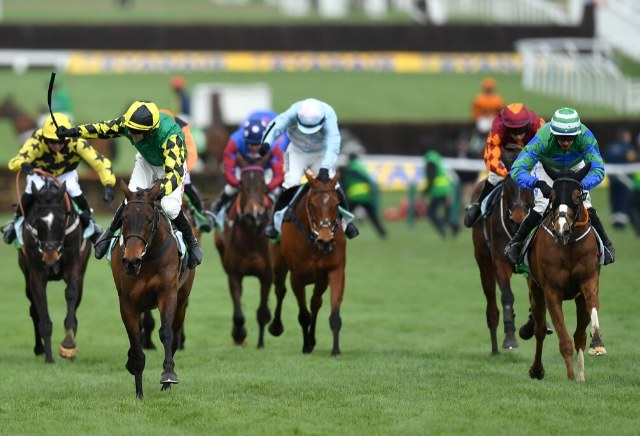 Tote Cheltenham Offer: £10 Welcome Bonus
