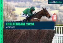 Cheltenham Festival 2024: Weather, Latest Going & Soft Ground Betting Tips
