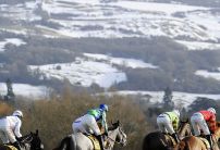 What does all the cancelled racing mean for the Cheltenham Festival 2023?