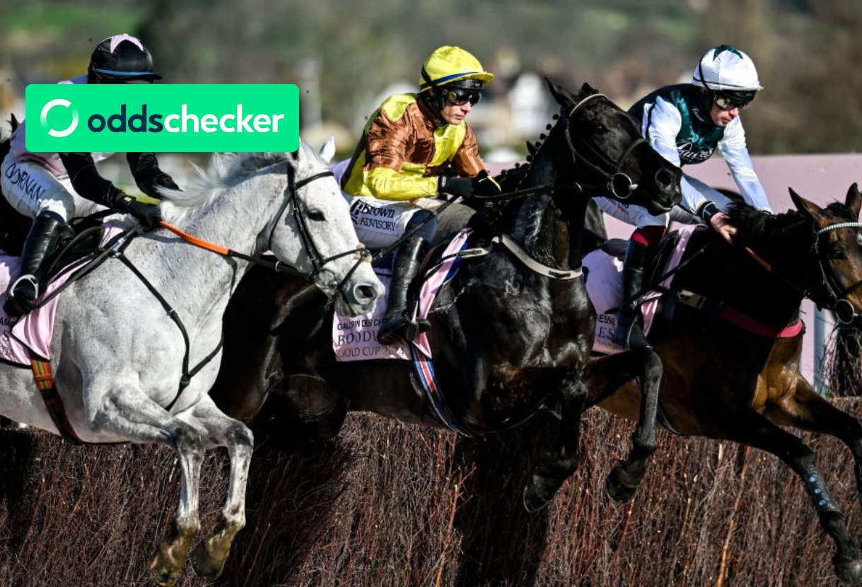 Cheltenham Gold Cup Winner 2024: Who won last year's race?
