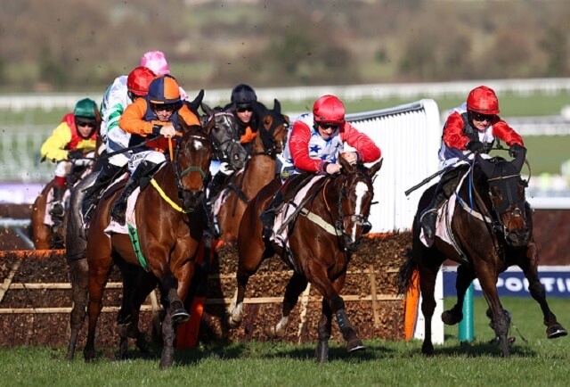 Cheltenham Results Fast Day 2 Results For All Seven Wednesday Races Oddschecker