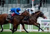 Betfair Exchange Free Bet Streak: oddschecker's last tipster standing day two
