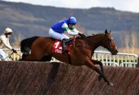 Becher Chase: Runners Guide & Betting Latest