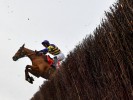 Grand National 2023 Runners & Odds: Hewick out but favourites remain