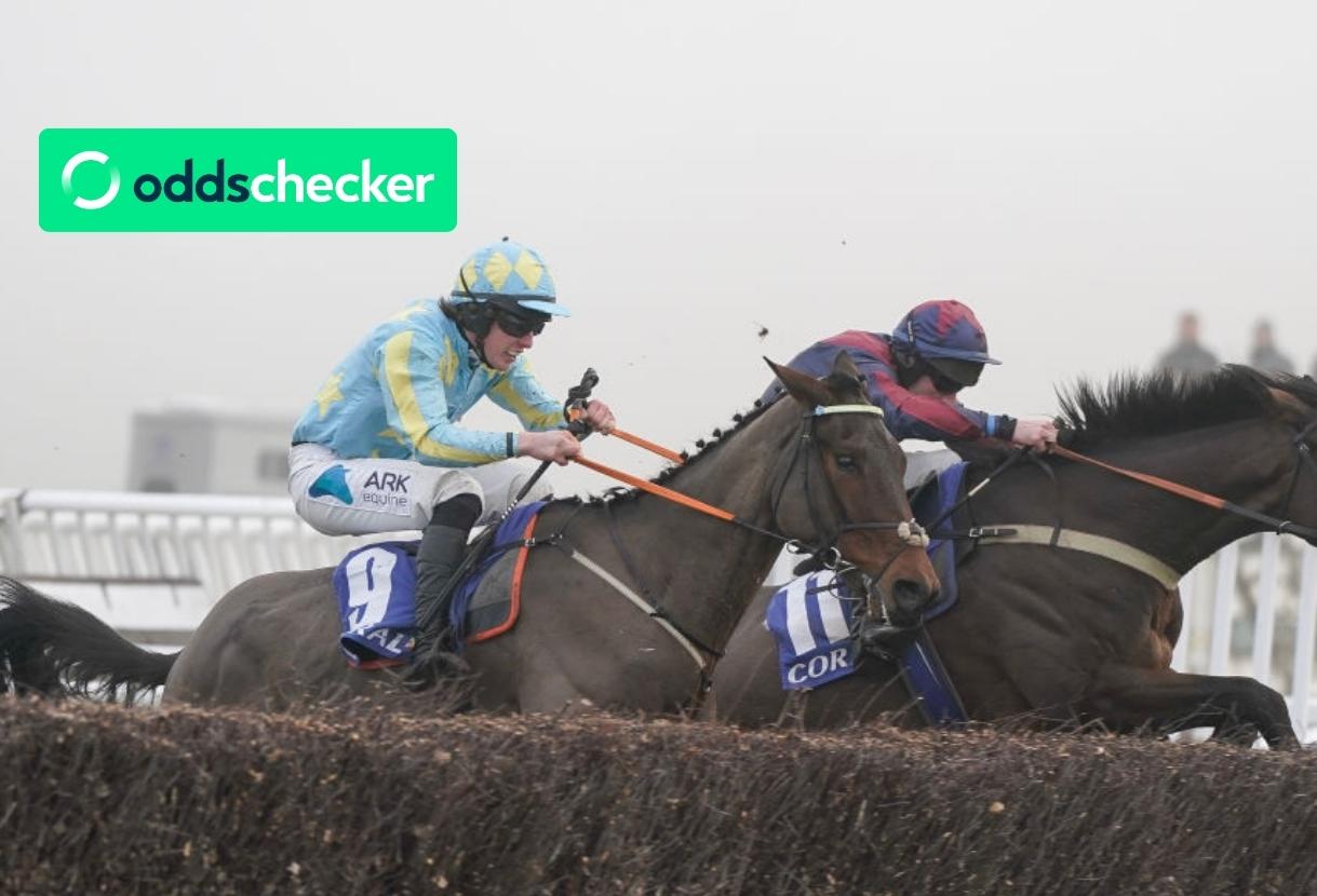 When is the Coral Gold Cup 2024? Newbury Odds, Date, Winners & Tips
