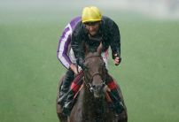 The most backed horses on Day One of the Ebor Festival
