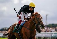 Stradivarius Vs Cross Counter - Where Is The Money Going?