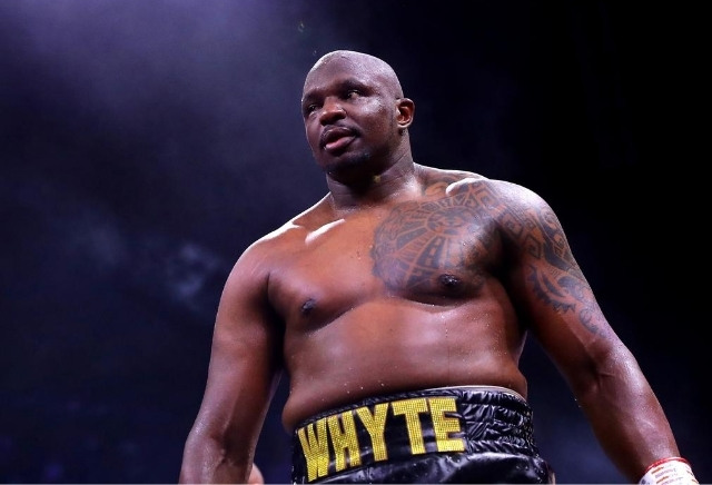 Dillian Whyte remains odds-on FAVOURITE in Povetkin rematch despite brutal KO loss