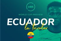 Ecuador World Cup 2022 Predictions, Squad, Manager & Odds