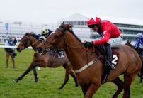 Cheltenham Market Movers: Editeur Du Gite Champion Chase odds slashed