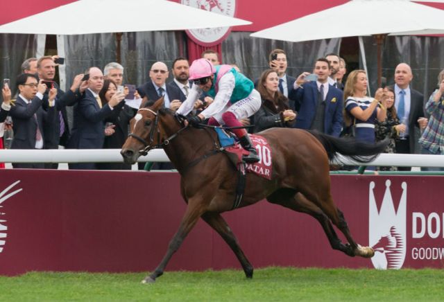 Prix de l'Arc de Triomphe 2020 Entries, Runners Guide & Betting Latest
