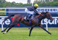 REVEALED: Epsom Derby and Oaks odds