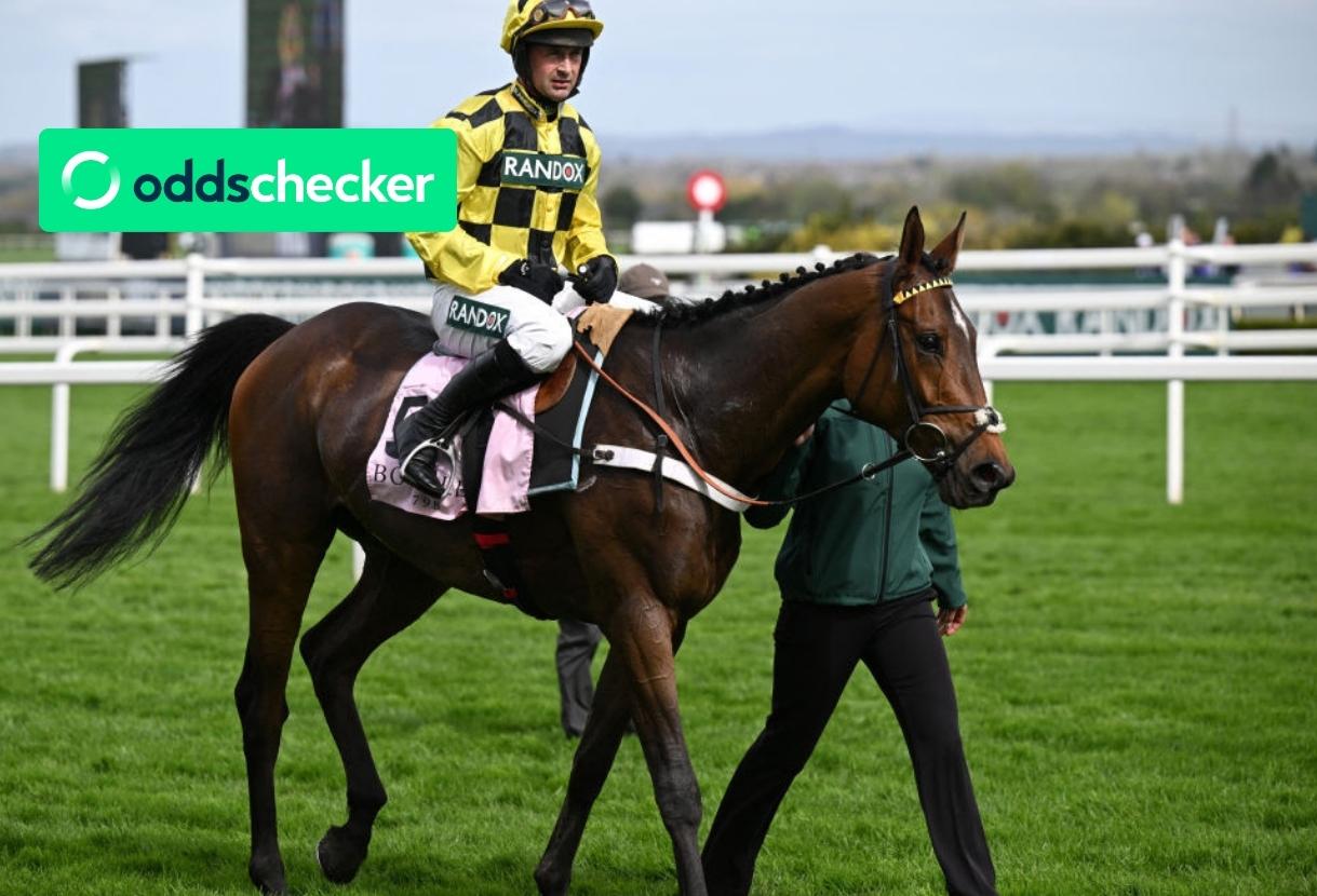 Who is favourite in the Fighting Fifth Hurdle Odds, Sir Gino or Mystical Power?