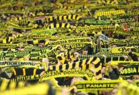 Erling Haaland Specials: How far do bookies think the Dortmund star will go this season?