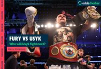 Usyk Next Fight: Who will the undisputed heavyweight champion fight next?