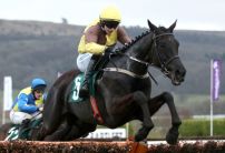 Dublin Racing Festival Results: What did we learn for the Cheltenham Festival?